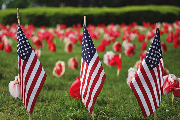 Field of flags on Memorial Day