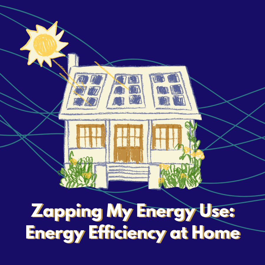 Zapping my Energy Use: Energy Efficiency at Home